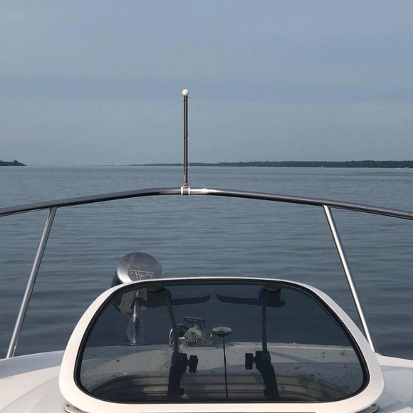 Meet your Posher, Nancy - Picture 1 of 1